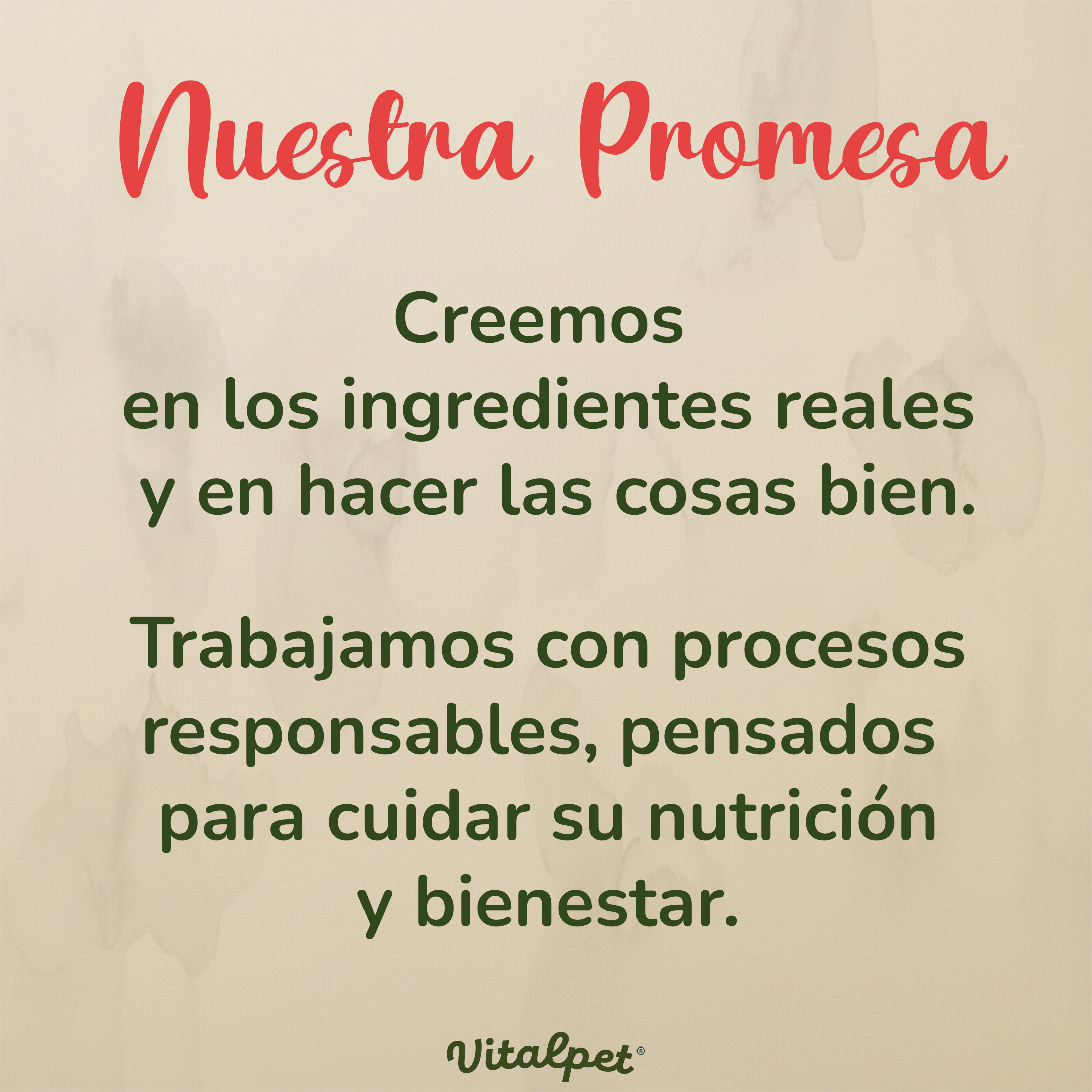 Vitalpet® Premium Food Alimento Deshidratado Base Res Adulto Para Todas Las Razas