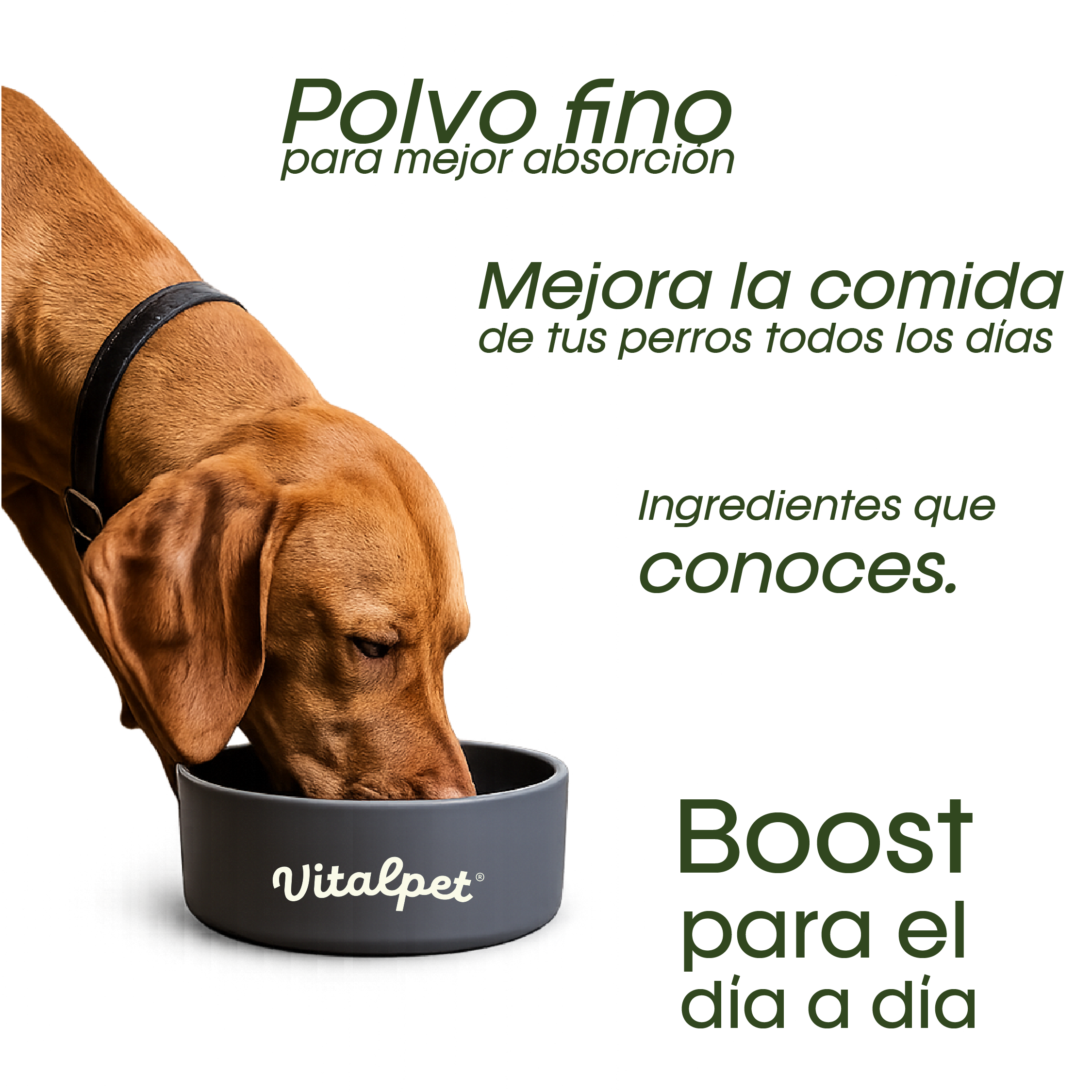 VitalPet® Topper Protein