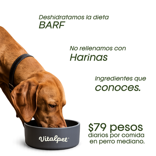VitalPet® Cerdo
