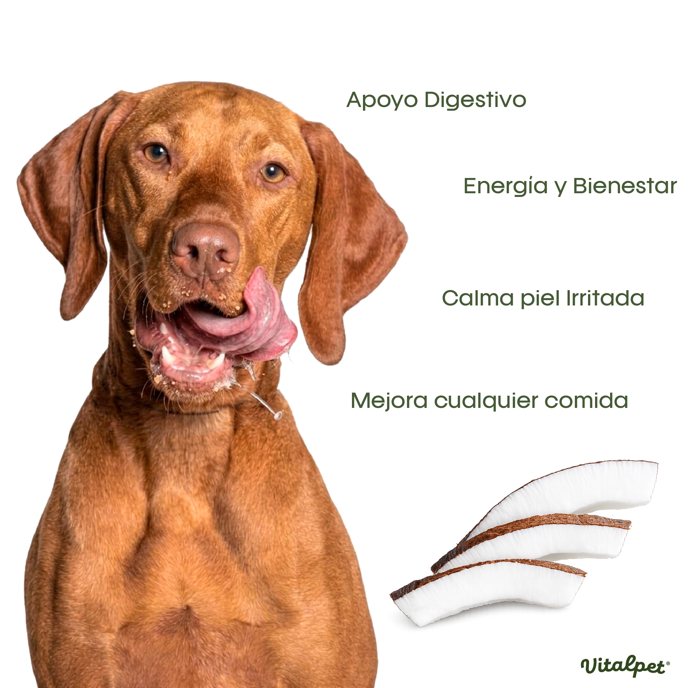 VitalPet® Aceite de Coco