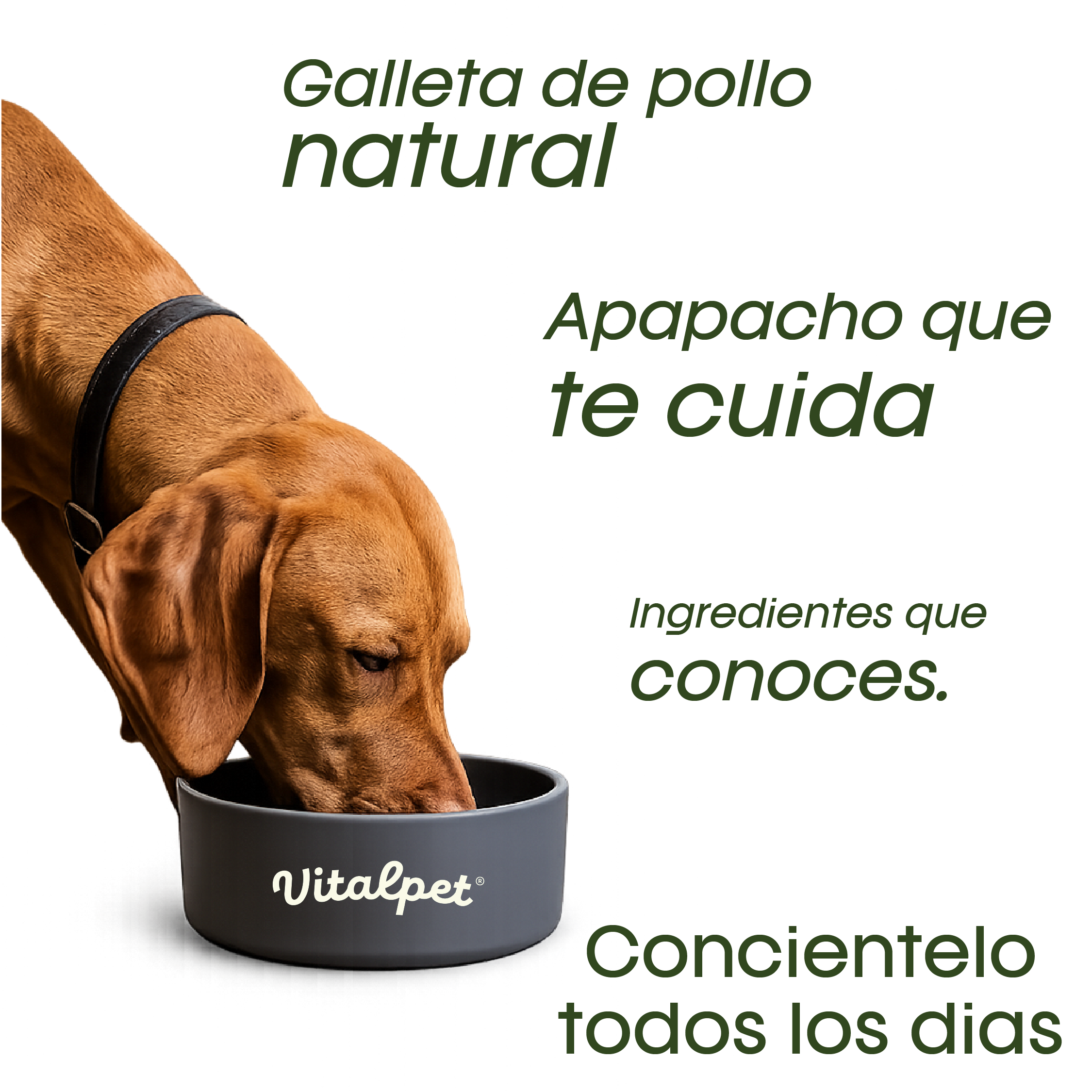 VitalPet® Chicken Cookies