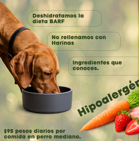 Vitalpet® Premium Food Alimento Hipoalergénico Deshidratado Base Conejo Adulto Para Todas Las Razas