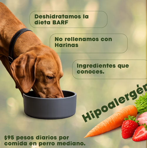 Vitalpet® Premium Food Alimento Hipoalergénico Deshidratado Base Conejo Adulto Para Todas Las Razas