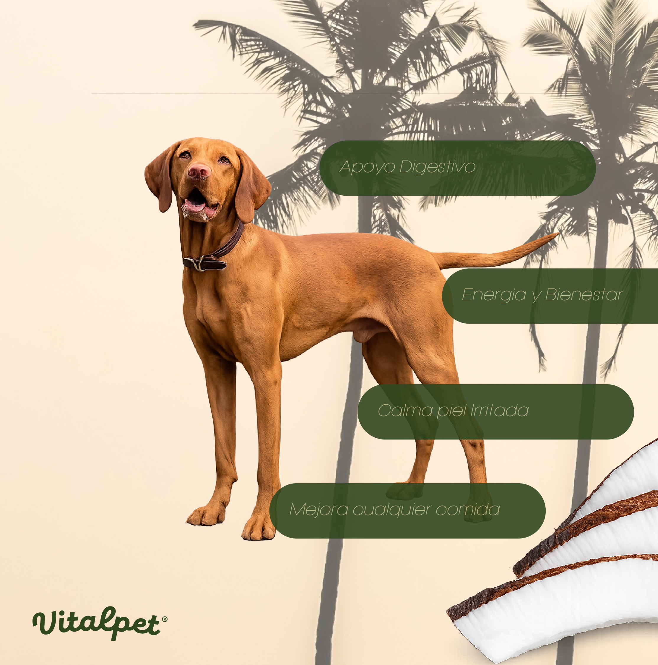 Vitalpet® Premium Food Aceite de Coco Extra virgen  Para Todas Las Razas