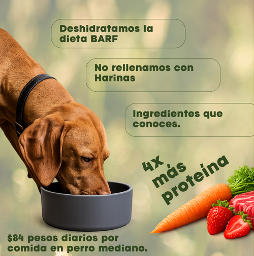 Vitalpet® Premium Food Alimento Deshidratado Base Res Adulto Para Todas Las Razas