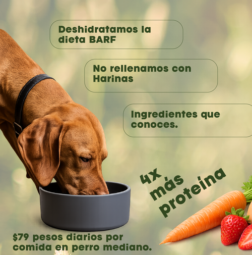 Vitalpet® Premium Food Alimento Deshidratado Base Pollo Adulto Para Todas Las Razas