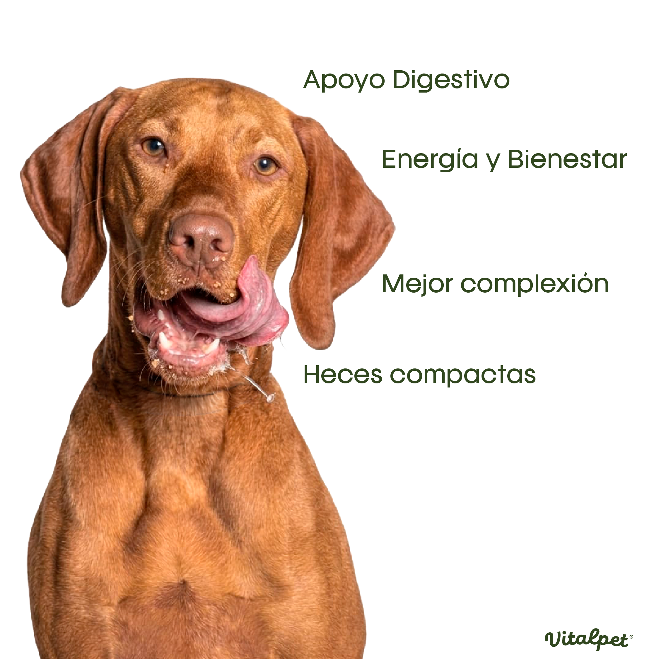 VitalPet® Pollo