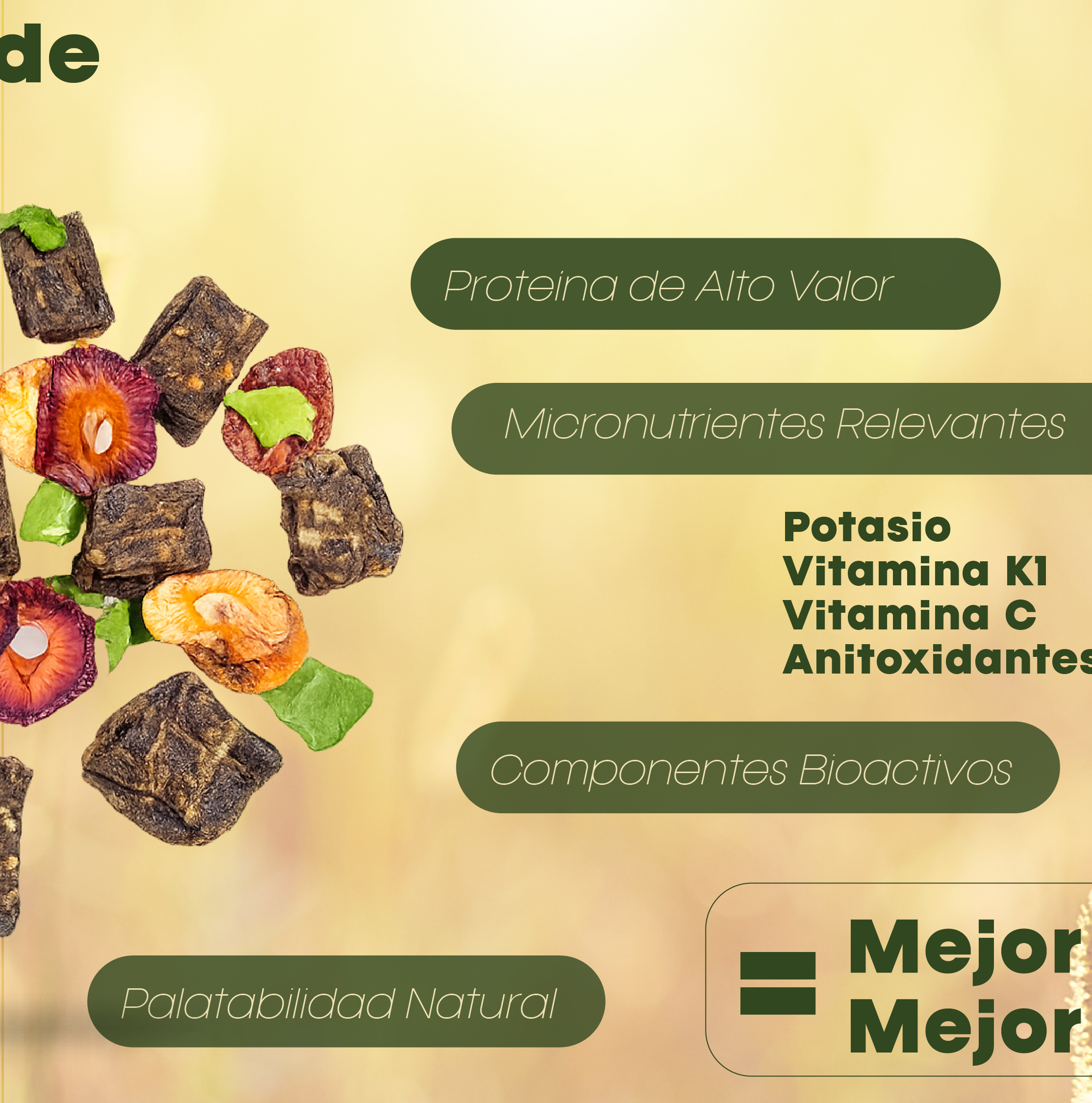 Vitalpet® Premium Food Alimento Deshidratado Base Res Adulto Para Todas Las Razas
