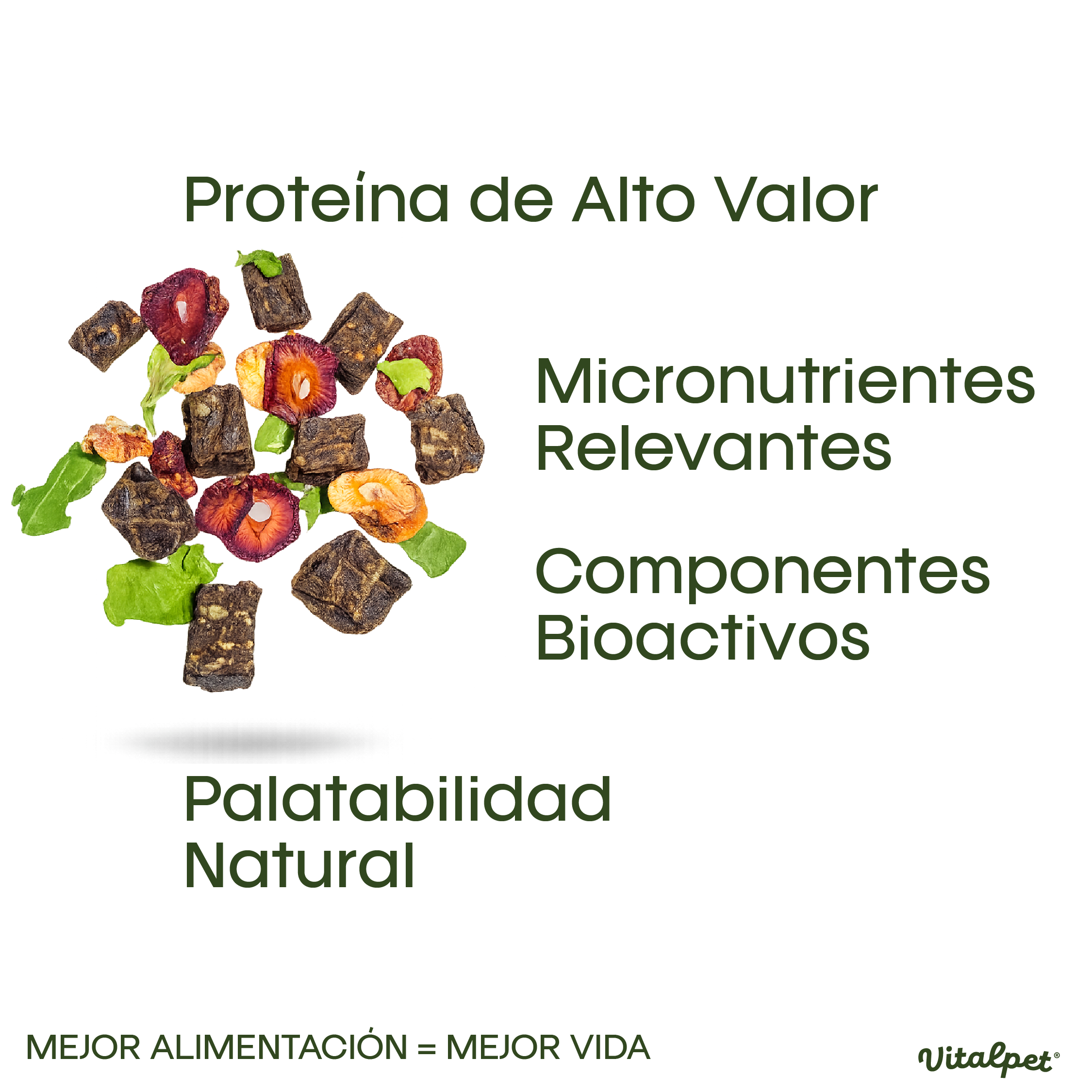 VitalPet® Pollo