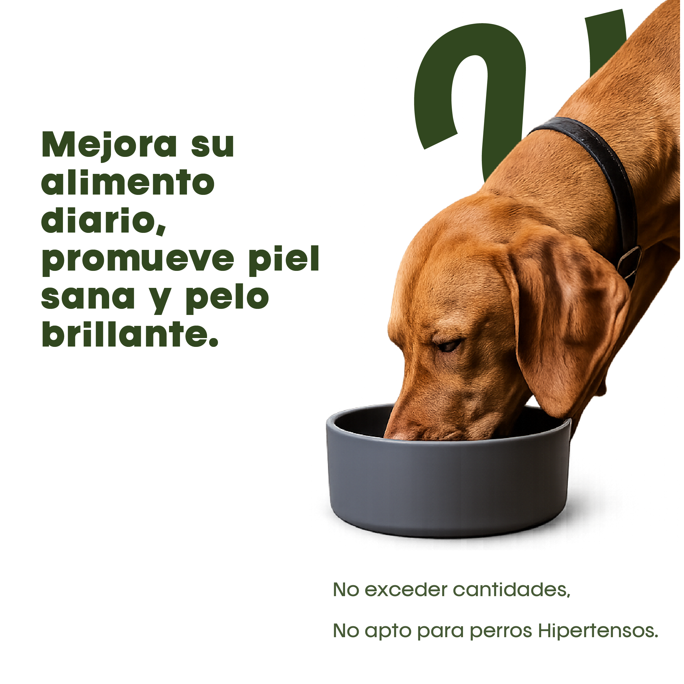 VitalPet® Aceite de Coco