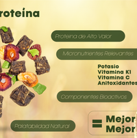 Vitalpet® Premium Food Alimento Deshidratado Base Pollo Adulto Para Todas Las Razas