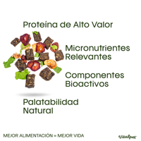 VitalPet® Conejo