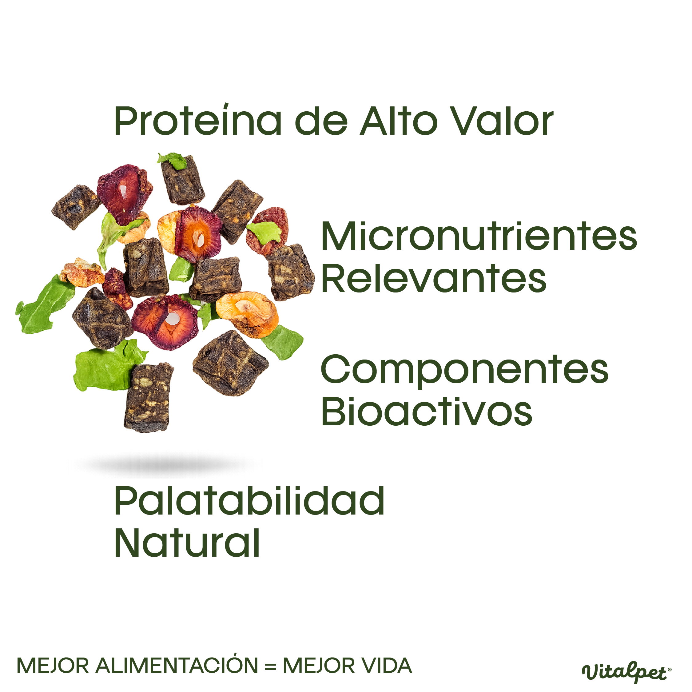 VitalPet® Cerdo