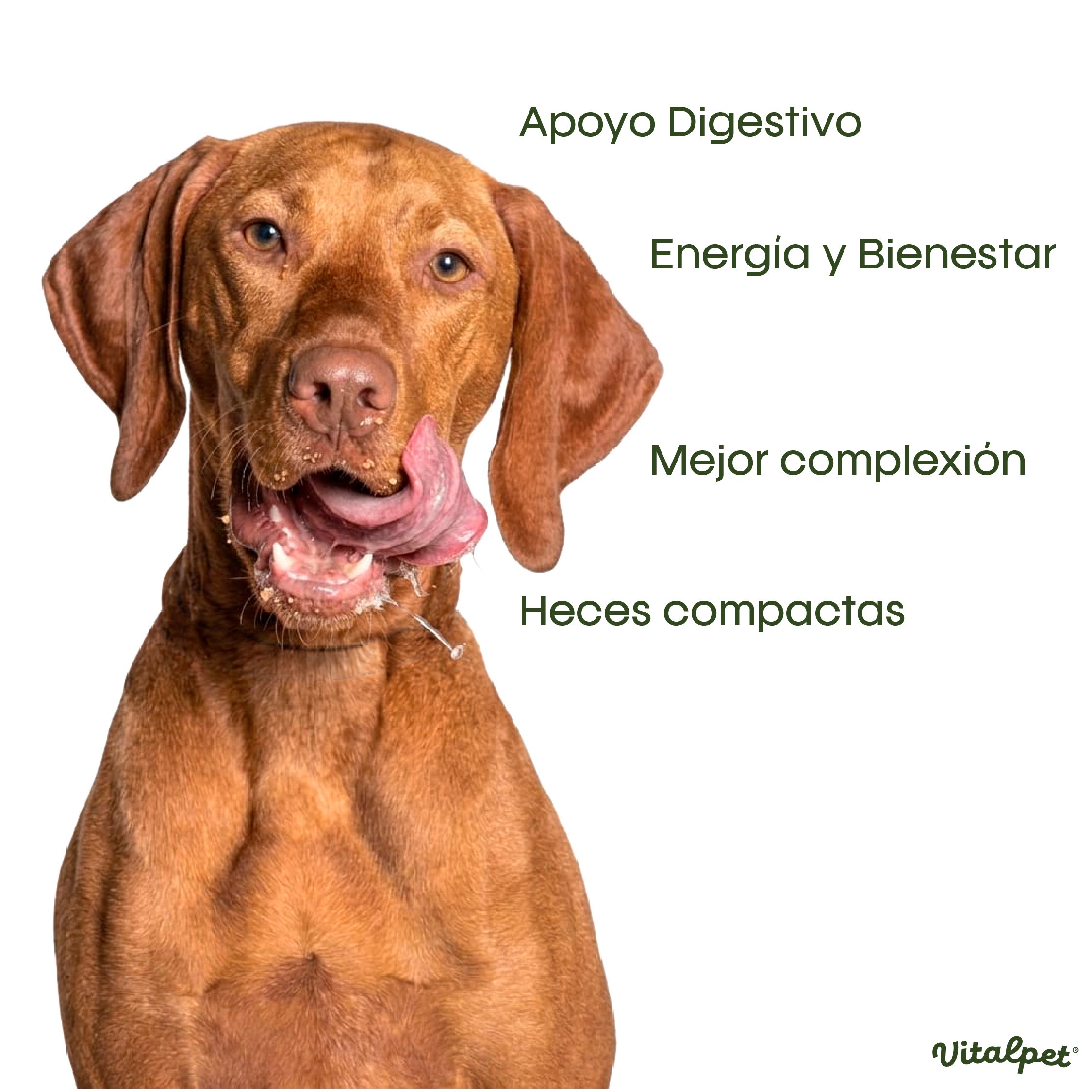 VitalPet® Topper Protein