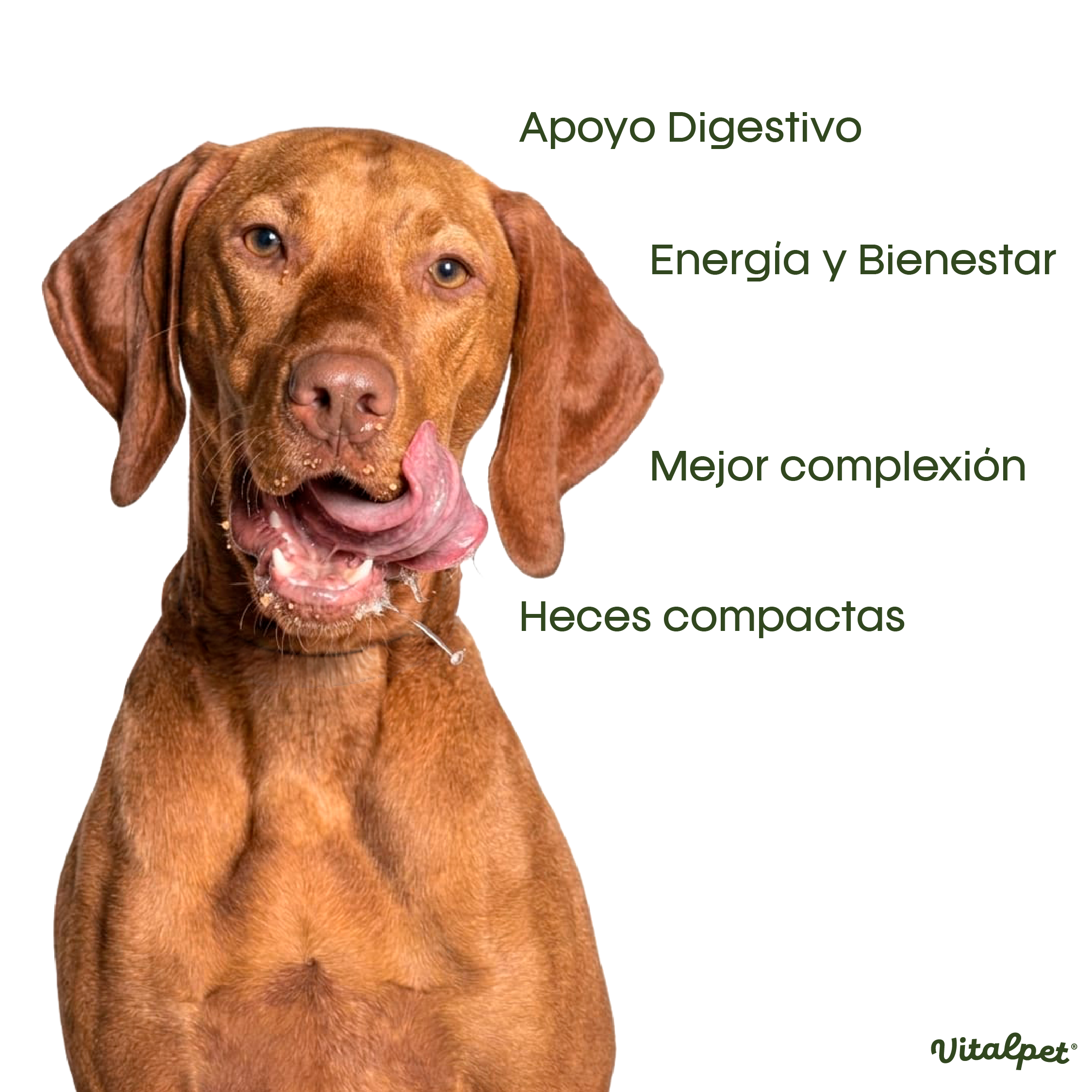 VitalPet® Chicken Cookies