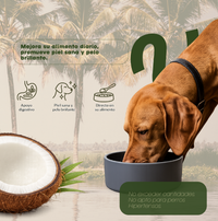 Vitalpet® Premium Food Aceite de Coco Extra virgen  Para Todas Las Razas