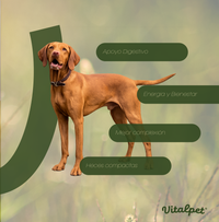 Vitalpet® Premium Food Alimento Hipoalergénico Deshidratado Base Conejo Adulto Para Todas Las Razas