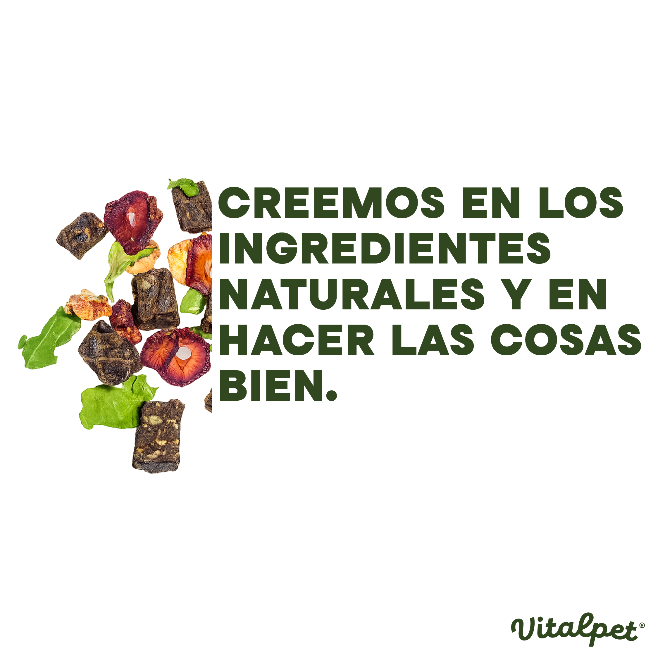 VitalPet® Conejo