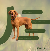 Vitalpet® Premium Food Alimento Deshidratado Base Pollo Adulto Para Todas Las Razas
