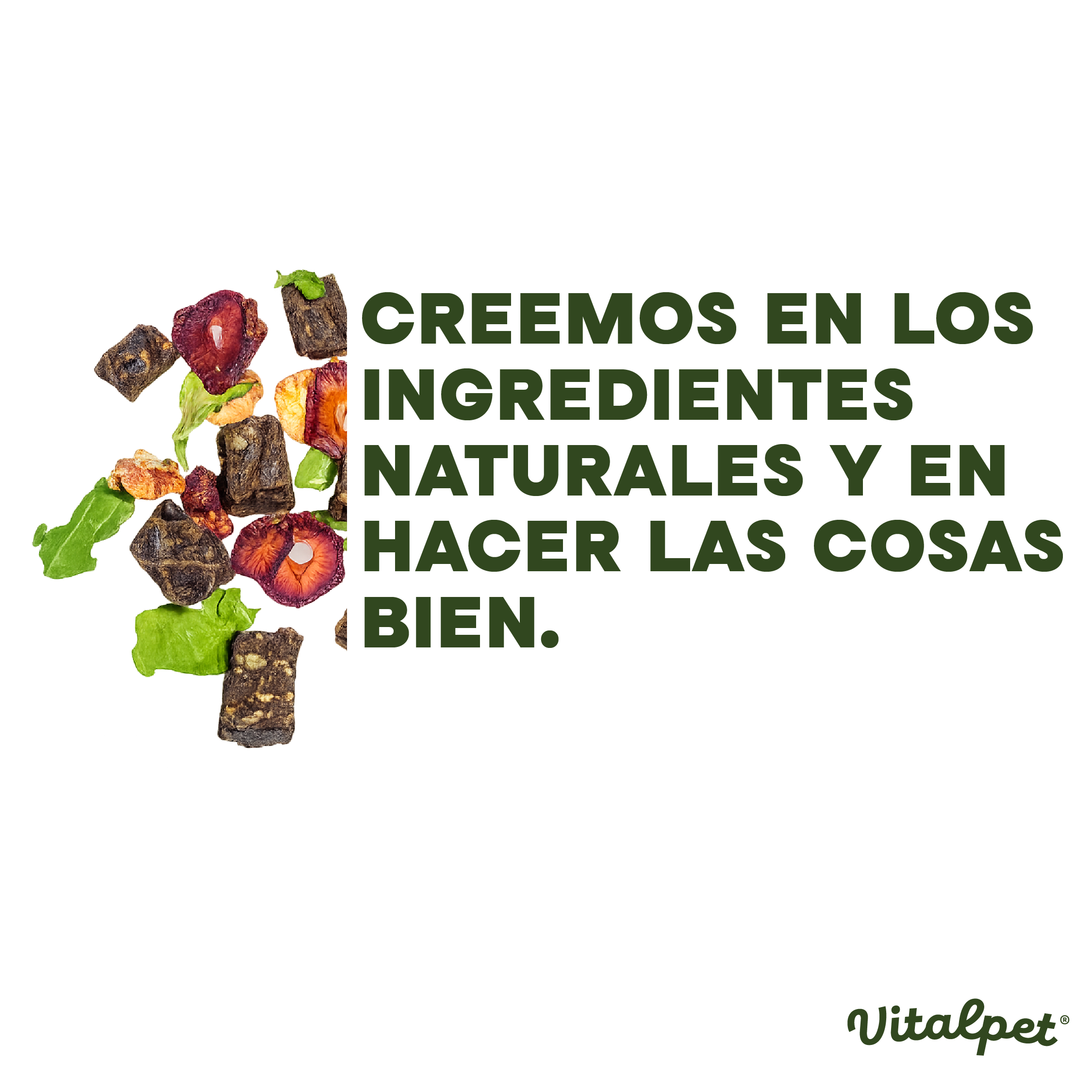VitalPet® Pollo