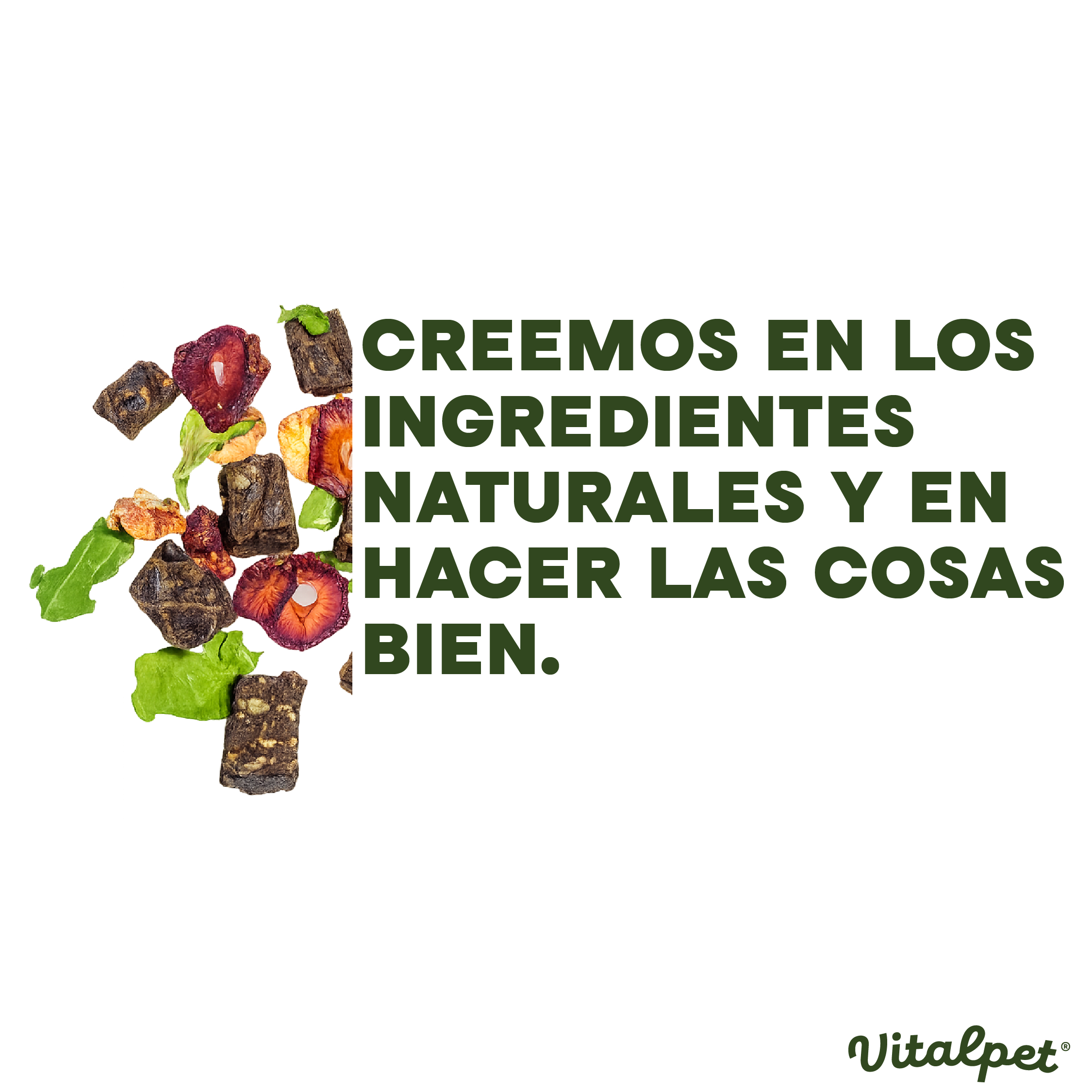 VitalPet® Res