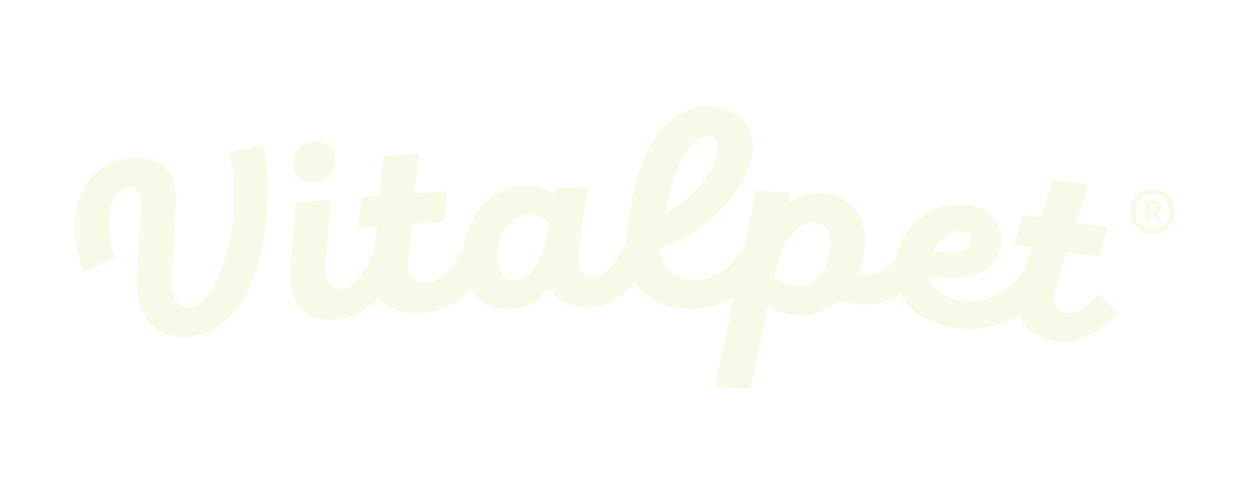 VitalPet MX